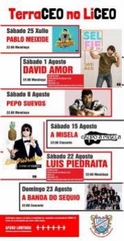Ver noticia